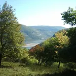 Schau-rhein#1 - On Of Bacharach, Rhineview * Bacharach