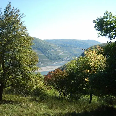 Schau-rhein#1 - On Of Bacharach, Rhineview * Bacharach