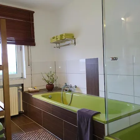 Schau-rhein#1 - On Of Bacharach, Rhineview *