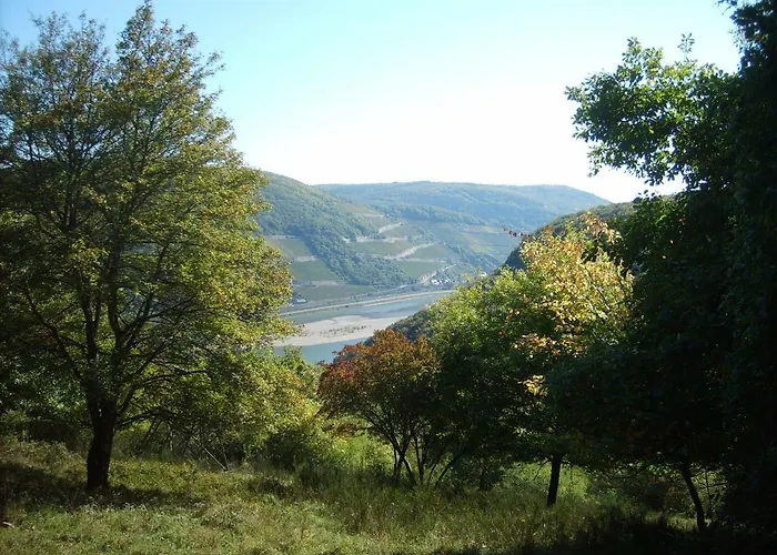 Schau-rhein#1 - On Of Bacharach, Rhineview * Bacharach