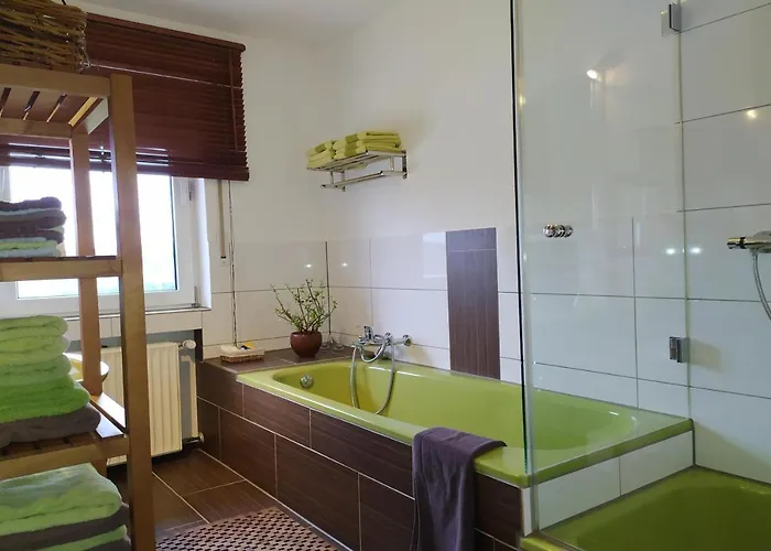 Schau-rhein#1 - On Of Bacharach, Rhineview *